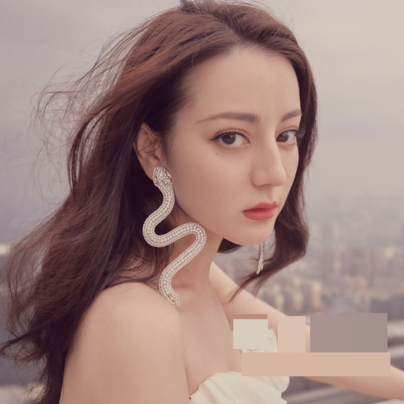 Net Celebrity High Sense Of Ins Wind Long Earrings Women