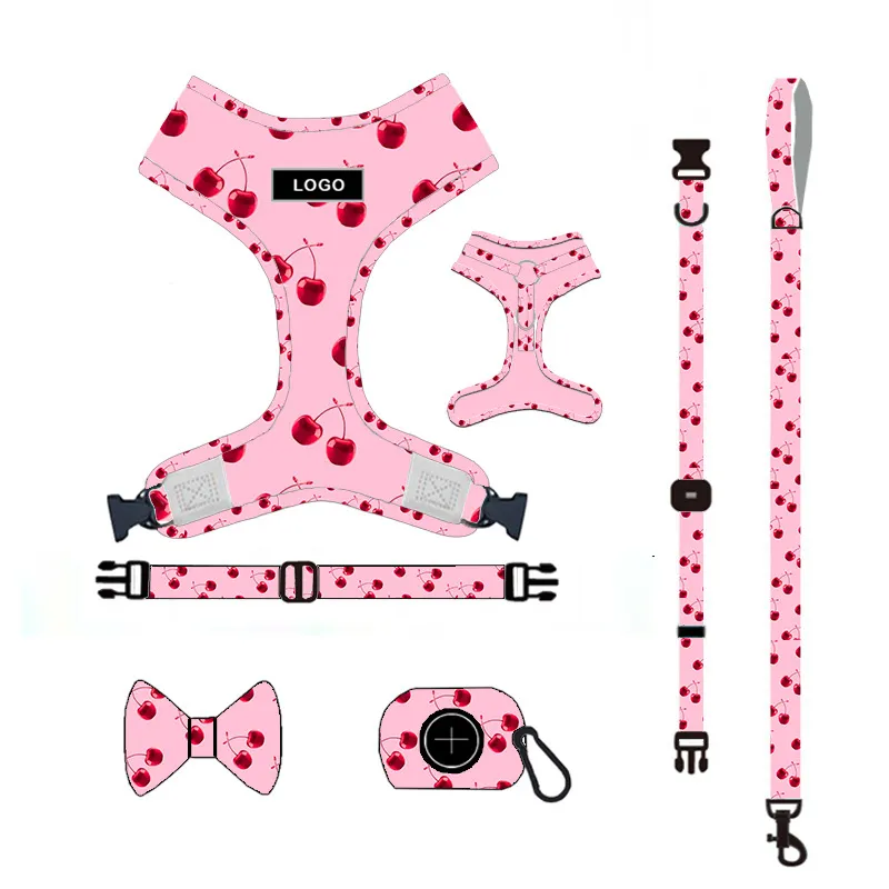 Pet Supplies Dog Leash Set