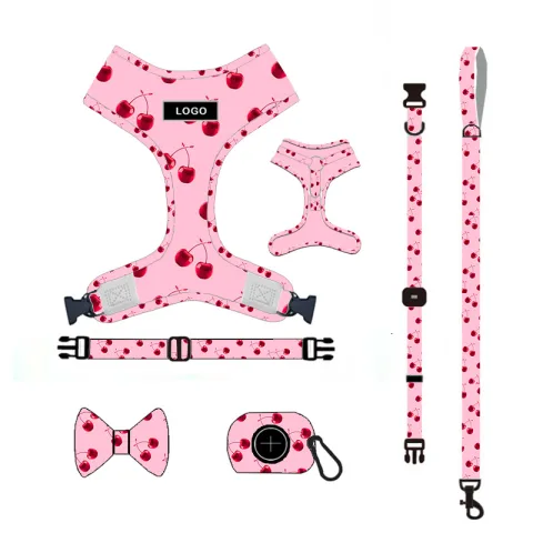 Pet Supplies Dog Leash Set Pet