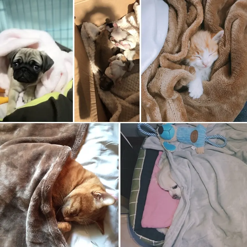 Pet Quilt Blanket Winter Thick Coral Fleece