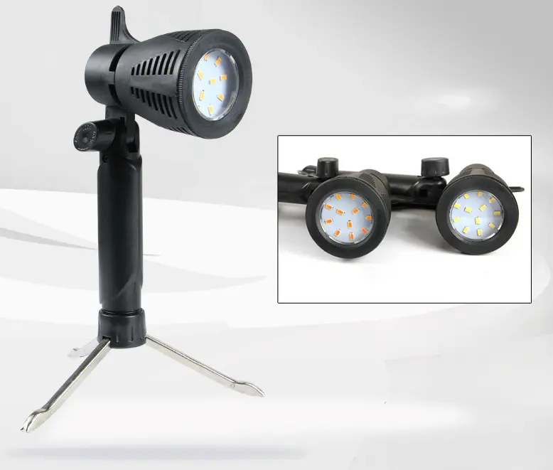 Small Gourmet Jewellery Shooting Lights Anchor Selfie