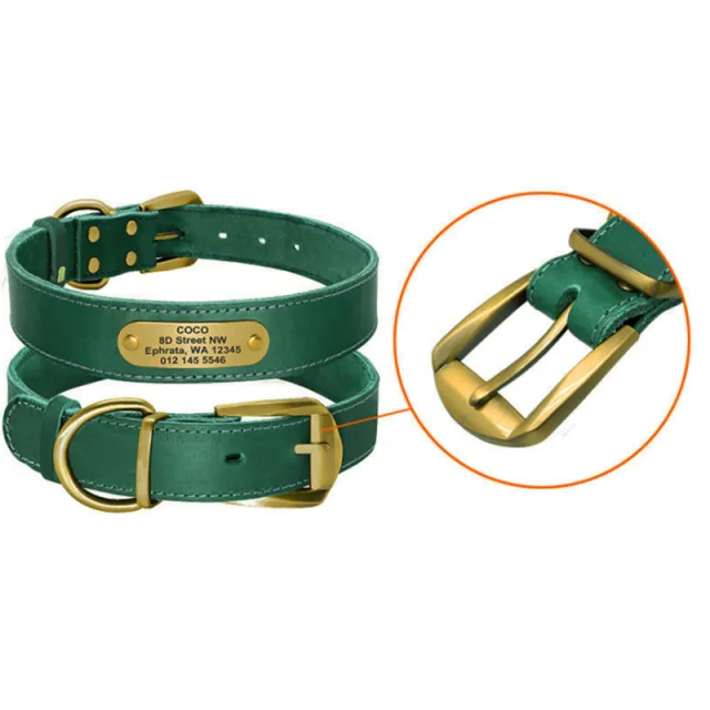 Personalized Dog Collars with Nameplate ID Tags for Medium Large Dogs Green - Shop at LoveMi