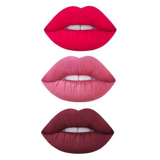 Neutral Lip Gloss Lipstick Matte Gloss Velvet Glaze Label (3)