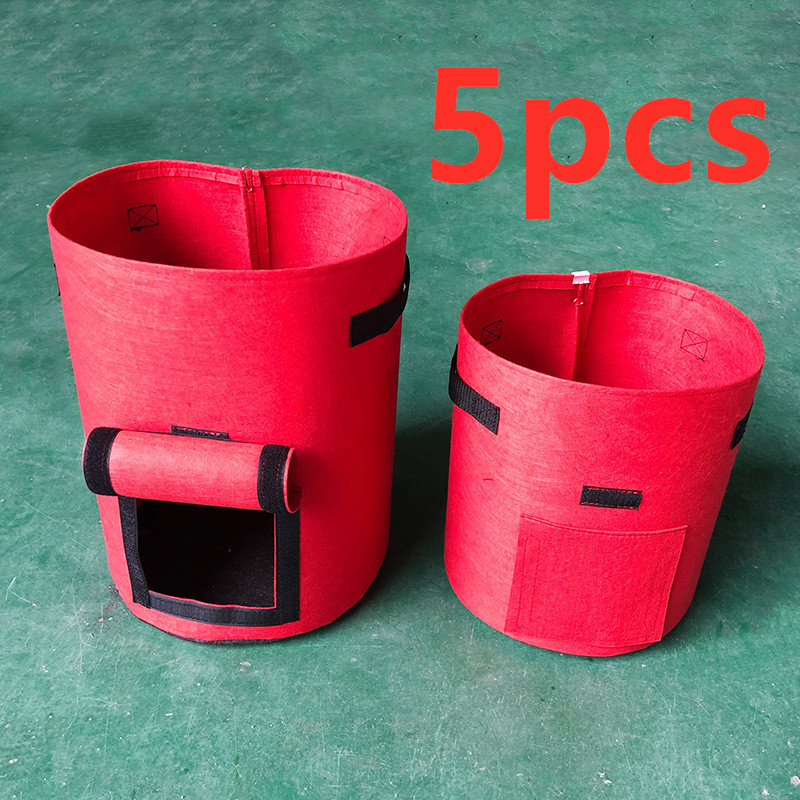 Red5pcs