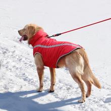 Title 2, Vêtements pour chien Bouledogue Français en cot...