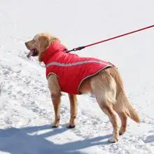 French Dog Cotton Clothes Teddy Fall Winter