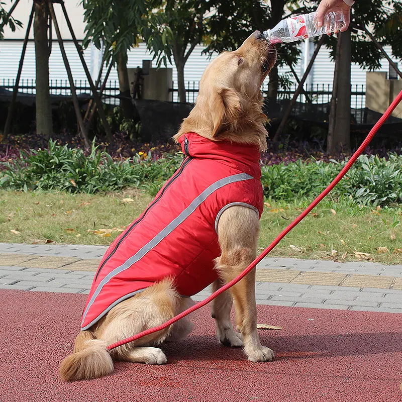 Pet Dog Clothes Winter New Reflective Padded Warm Labrador