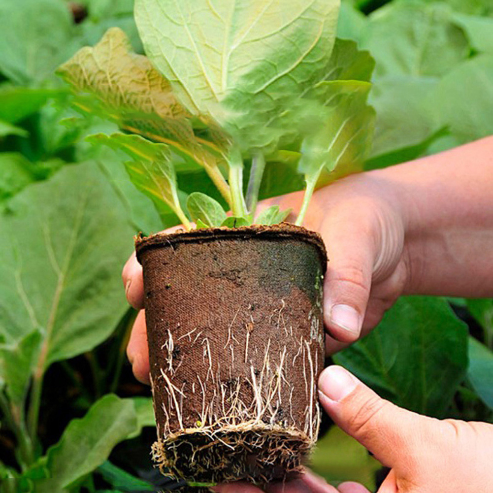 Round Degradable Pulp Peat Flowerpot