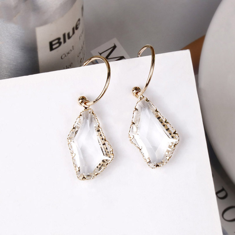 Fashion Exaggerated 925 Silver Needle Long Earrings