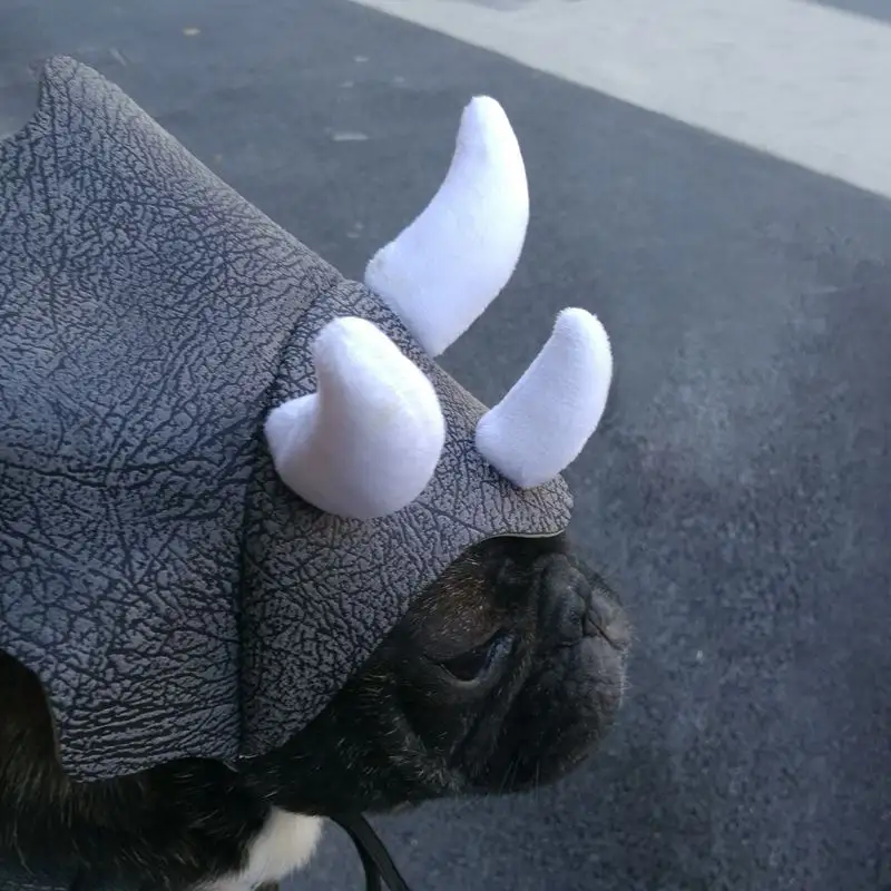 Pet Triceratops Dog Dinosaur Hat Cat Transformation