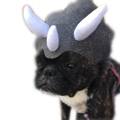 Pet Triceratops Dog Dinosaur Hat Pet Cat Dog Hat Pet Transformation Cap Pet Headgear Costume - Grey - View 1