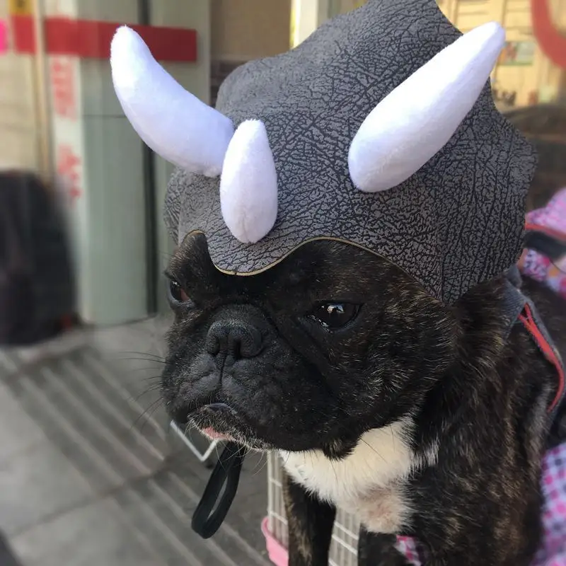 Pet Triceratops Dog Dinosaur Hat Pet Cat Dog Hat