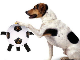 حبل تفاعلي لكرة القدم للتدريب في الهواء الطلق