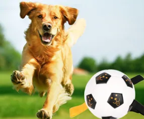 Outdoor Training Interactive Rope Football Toy - Shop at LoveMi
