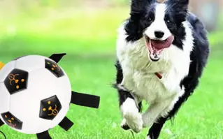Outdoor Training Interactive Rope Football