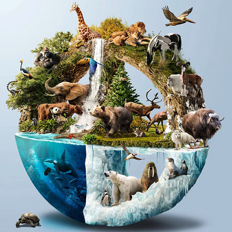 Animal world