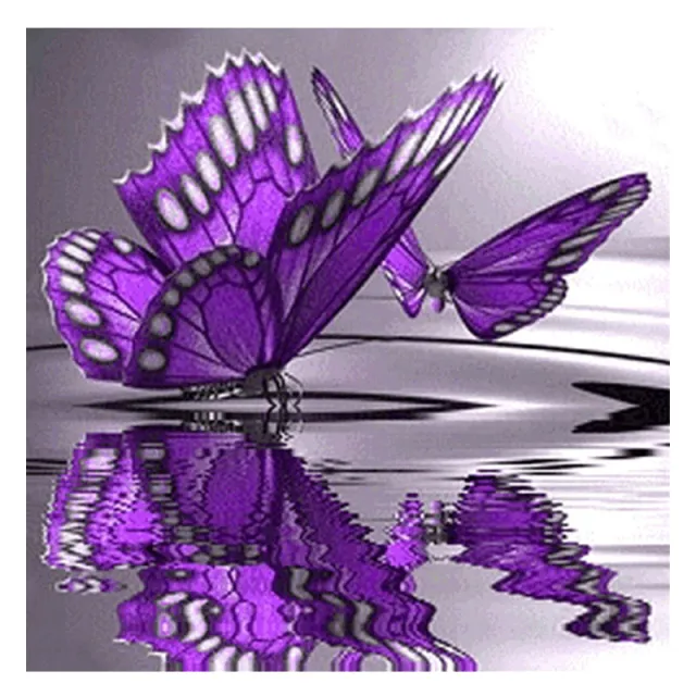 5D DIY Diamond Painting Animal butterfly wave Photo Color - Shop at LoveMi