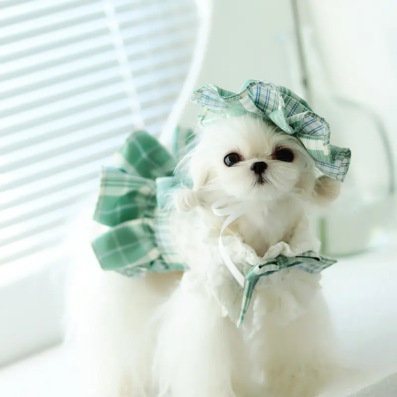 Dog Spring And Summer Cat Lace Dress
