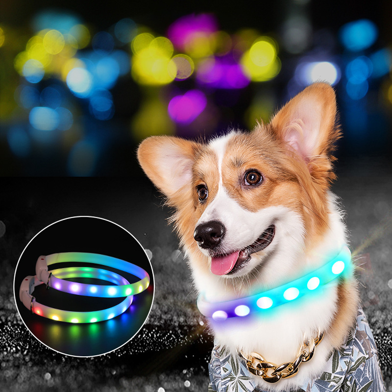 Collier Rechargeable, fournitures pour animaux de compagnie, laisse de marche lumineuse pour chien de loisirs