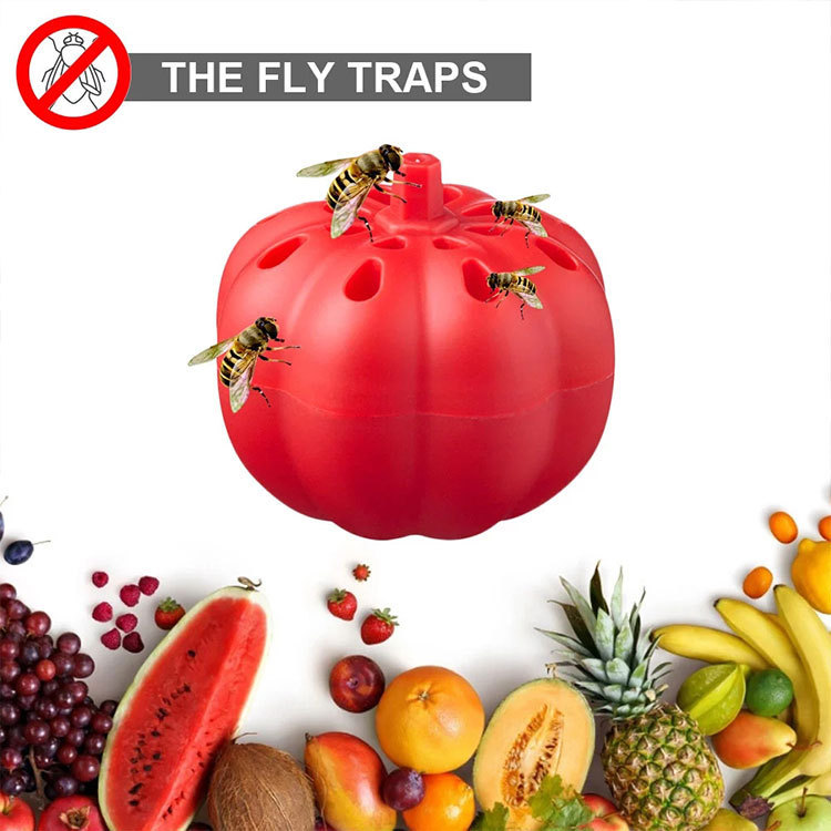 Title 3, Small Pumpkin Fruit Fly Trap Fly Insect Trap