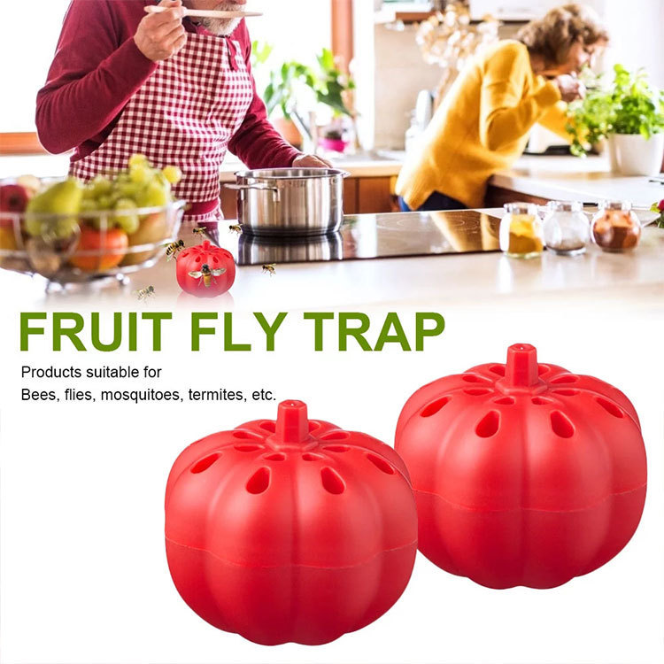 Title 2, Small Pumpkin Fruit Fly Trap Fly Insect Trap