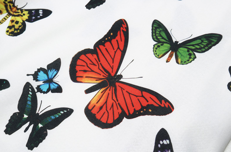 Title 5, Butterfly Print Loose Hoodie