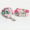 Collar Traction Rope Set