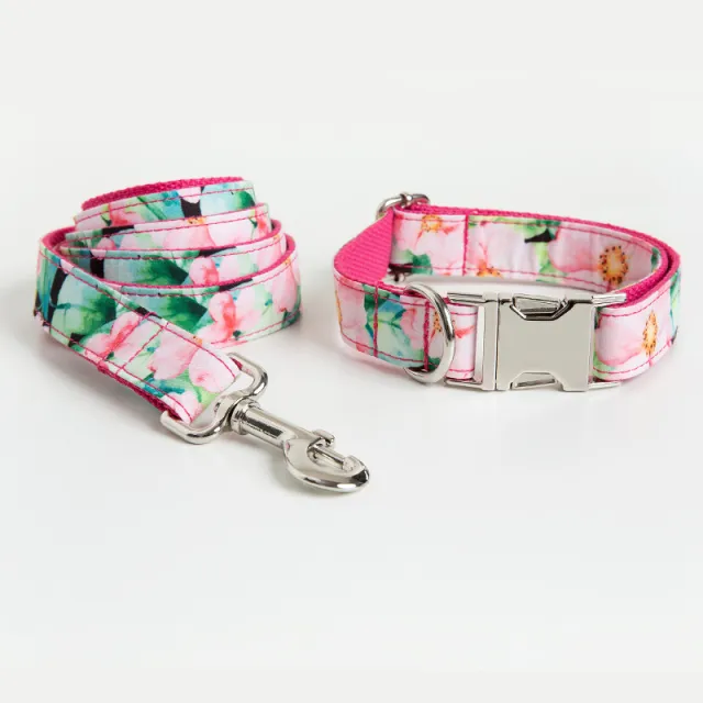 Dog Collar Dog Leash Pattern Set Collar Traction Rope Set - Shop at LoveMi