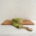Traction Belt