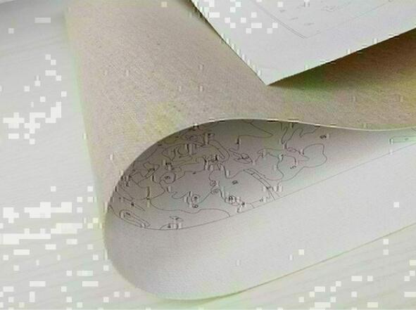 Snowshoes - DIY Painting By Numbers Kit