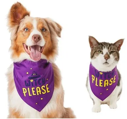 Pet Triangle Scarf Cute Funny Bib Saliva Towel Purple - Shop at LoveMi
