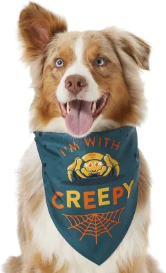 Pet Triangle Scarf Cute Funny Bib Saliva Towel - Green - View 1