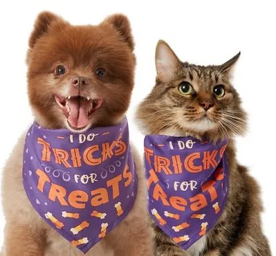 Pet Triangle Scarf Cute Funny Bib Saliva Towel Bone - Shop at LoveMi