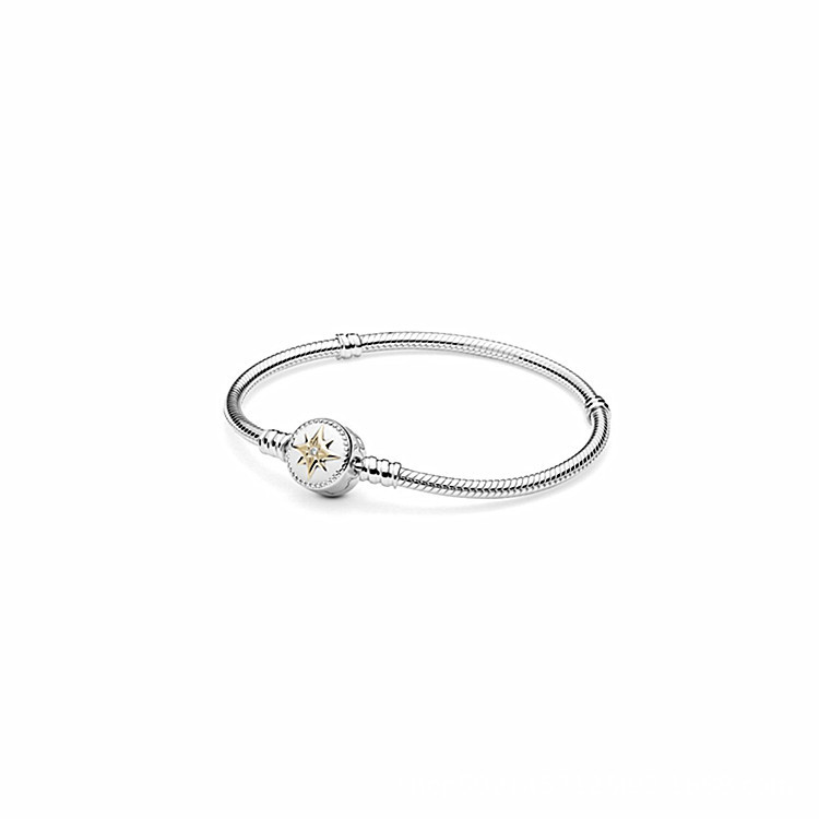 Bracelet Classic Love Snake Bone Basic Chain
