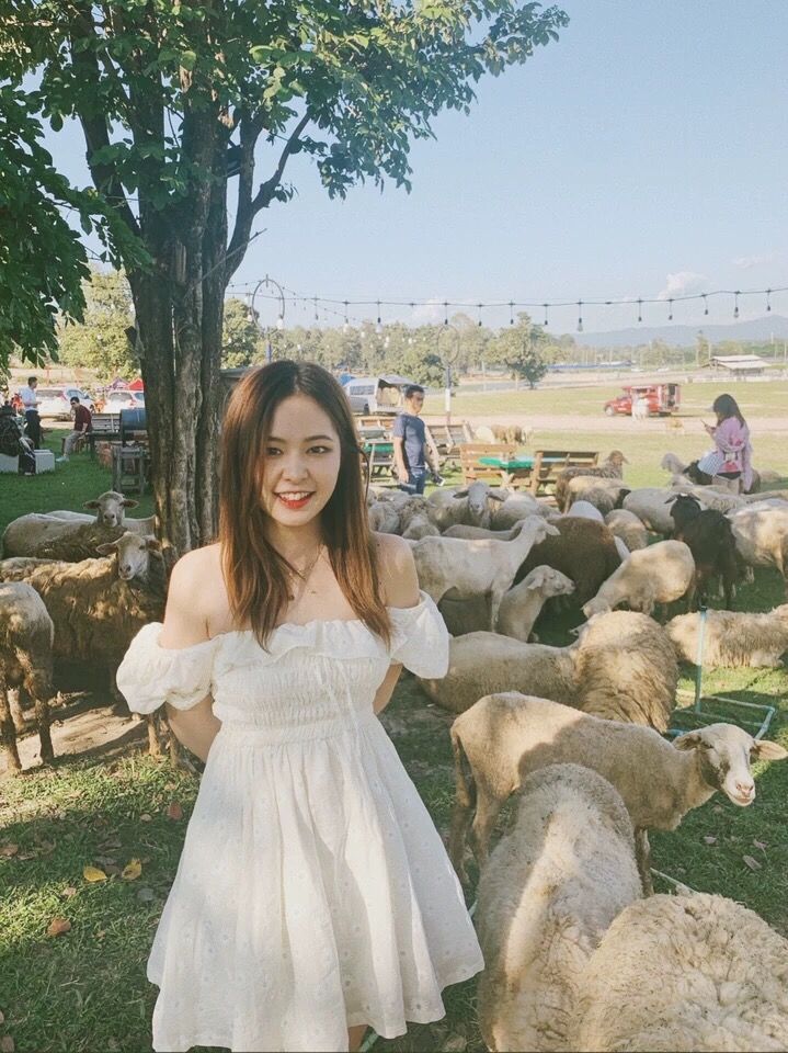 First Love Small Daisy Dress Sweet French Square Collar Bubble