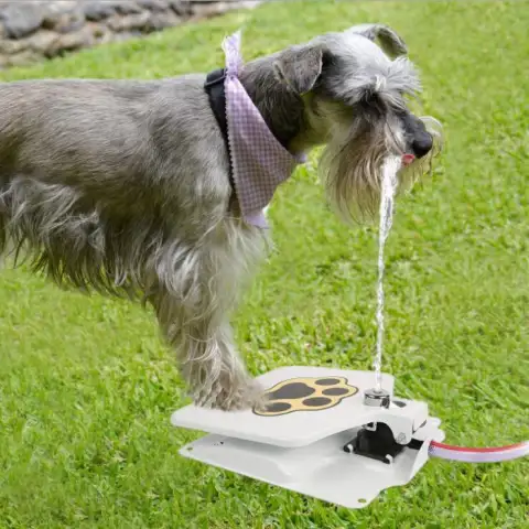 Pet Peddling Watererdogs Outdoor Automatic Water Feedercats and Dogsfountain