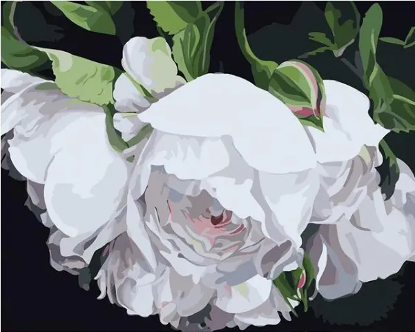 White Flower Painting - DIY By Numbers