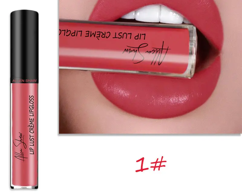 Silky Cream Texture Lip Gloss Aliexpress Shopee