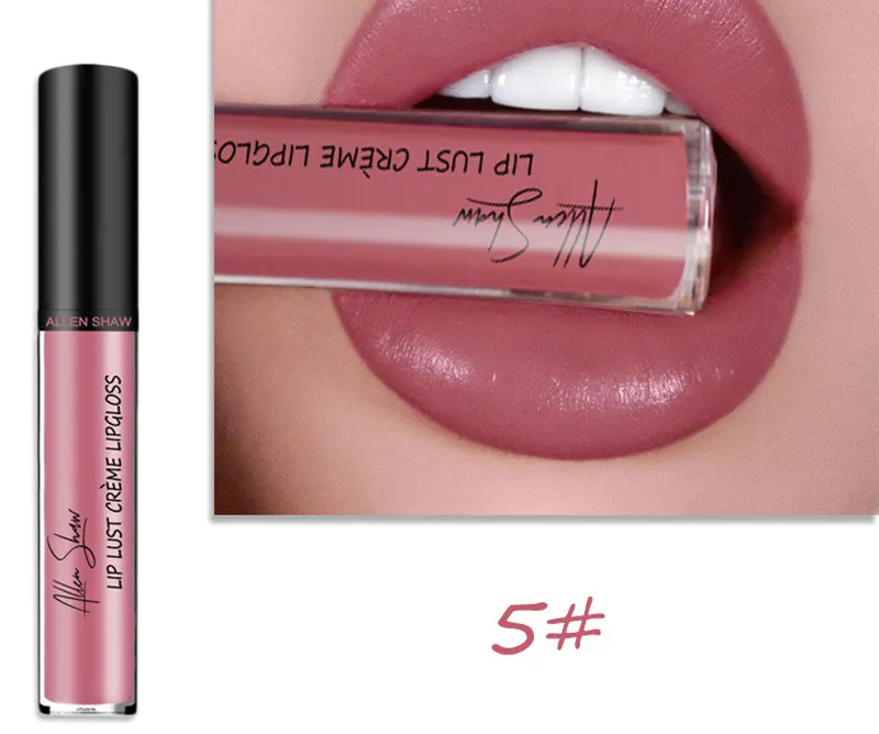 Silky Cream Texture Lip Gloss Shopee Cross-Border Exclusive Lip Glaze Lip Gloss Lipstick - 5 Color