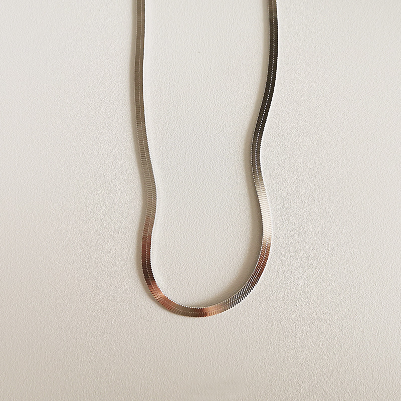 Sterling Silver Flat Snake Bone Chain Female Ins Blogger Minimalist Cold Wind Blade Necklace