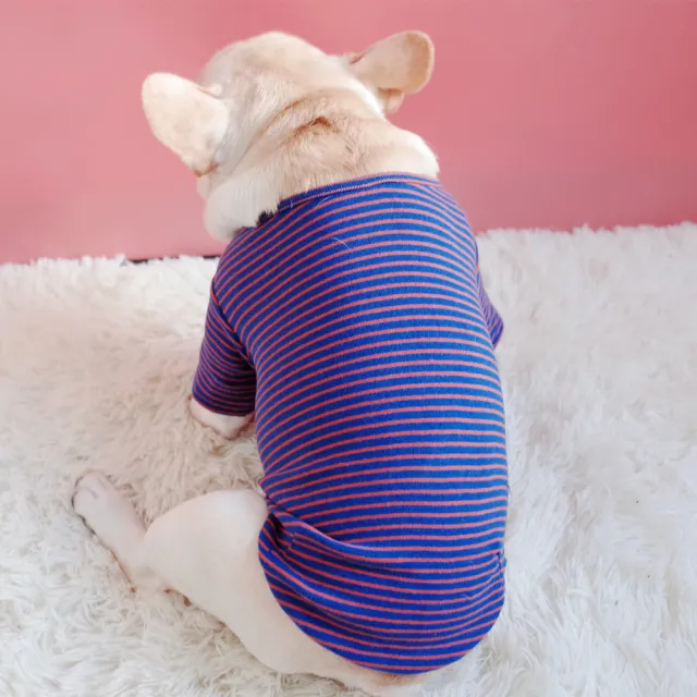 Cotton Stretch Padded Striped T shirt Purple - Shop at LoveMi