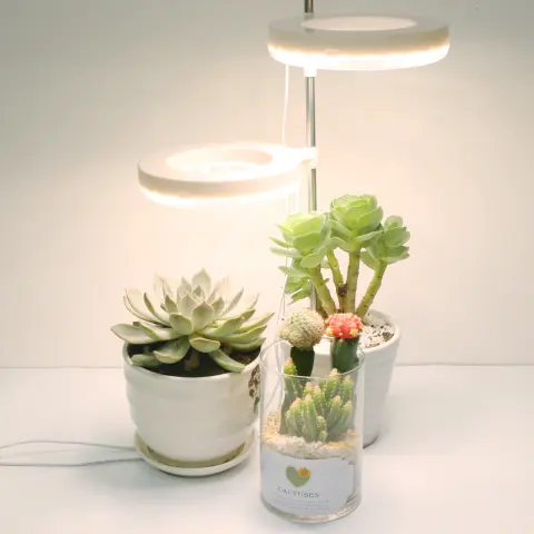 Home Office Desk Flower and Plant Growth Lamp