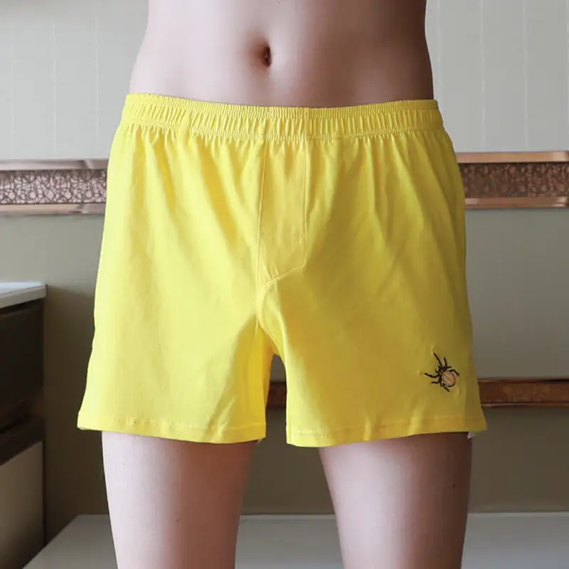 Boys' Cotton Underwear, Young And Trendy Men's Boxer Briefs