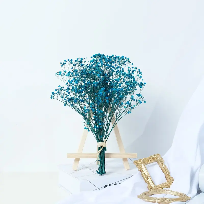 Gypsophila Dried Flower Bouquet Air-dried Real Living