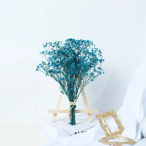 Gypsophila Dried Flower Bouquet Air-dried Real Living Room Decoration