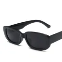 Small Frame Square Sunglasses 