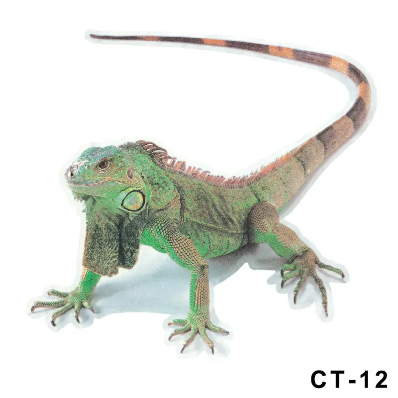 3D Car Spider Gecko Animal Stickers
