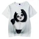 2Xl-A