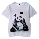 2Xl-C