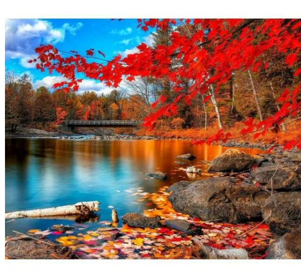 A Season Of Fall DIY Painting By Numbers Kit Red - Shop at LoveMi